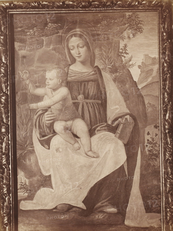 Photo reproduction of the fresco Madonna del Garofano by Bernardino Luini in the Certosa di Pavia, Certosa di Pavia, Madonna di Luino, photograph, reproduction, number: '984', inscription: 'No. 10. Madonna von Luini in der Sacristei.', photographer: Alfredo Noack, after painting by Bernardino Luini, c. 1877 - in or before 1882, Lombardy, paper, pasteboard, albumen print, height 380 mm x width 287 mm, Madonna: ie Mary with the Christ-child, painting (including book-illumination, miniature-painting) (mural painting), A framed sepia-toned painting showing a robed woman with a head covering holding a young child on her lap; the woman looks down with a serene expression and a faint circular halo around her head, while the child reaches outward holding a tall plant and sits with bare legs and feet exposed; the woman wears layered garments with a sash at her waist and a draped cloak, and a small book or box rests near her hand; the background contains rocky terrain, foliage, and distant archi...