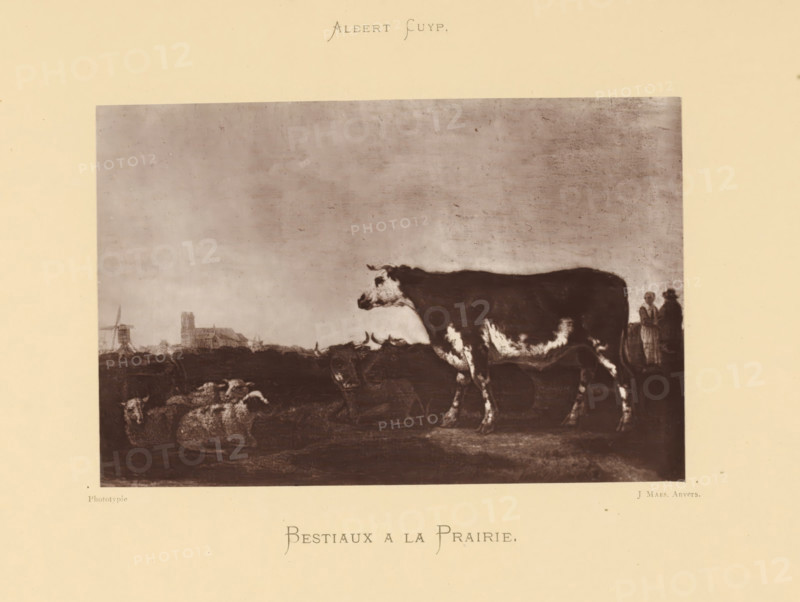 Bestiaux a la Prairie, Reproduction of a painting of cows and sheep by Aelbert Cuyp, reproduction, page, photomechanical print, photographer: Joseph Maes, Antwerp, after painting by Aelbert Cuyp, c. 1873 - in or before 1878, paper, Woodburytype, Woodburytypepie, height 107 mm x width 163 mm, sheep, cow, A sepia-toned image showing a large framed scene centered on a pastoral landscape with a prominent cow in the foreground facing left, its body mottled with light and dark patches, and a group of sheep lying on the ground nearby. In the distant background there is a low silhouette of buildings and a windmill against a textured sky. At the far right edge of the framed scene two small standing figures are visible near the cow. The framed scene is set on a cream-colored page with a small decorative title area above and below the framed image.
