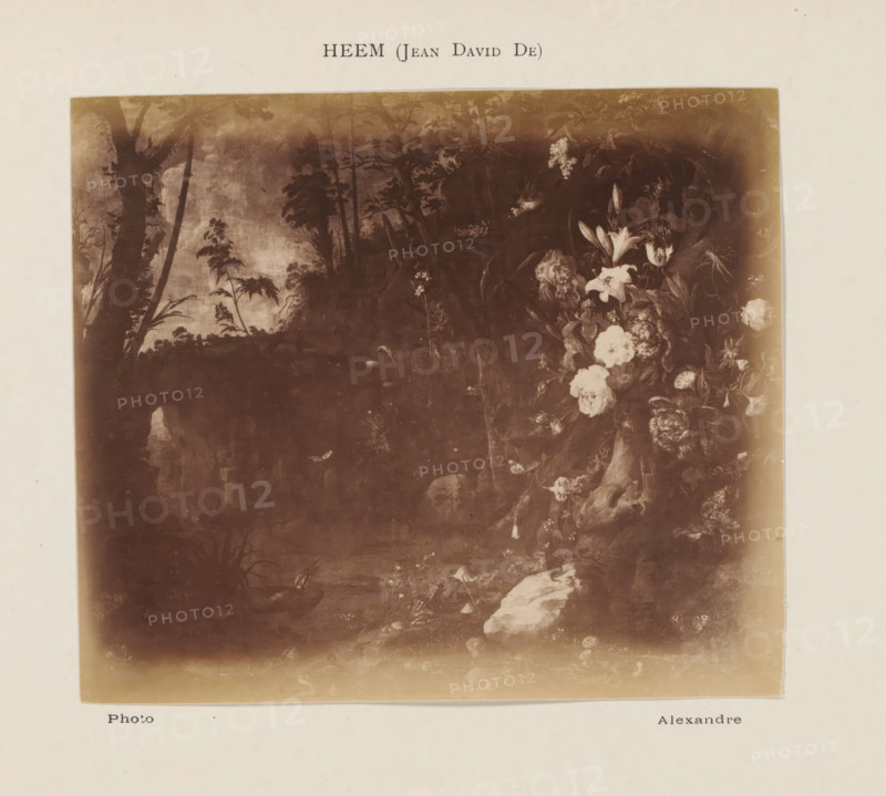 Photo reproduction of a painting of flowers in a landscape by Jan Davidsz. de Heem, photograph, reproduction, page, inscription: 'Heem (Jean David De)', photographer: Alexandre, after painting by Jan Davidsz. de Heem, c. 1878 - in or before 1883, paper, albumen print, height 112 mm x width 131 mm, flowers, landscapes, A sepia-toned rectangular image mounted on a light background showing a darkened landscape scene with tall tree trunks and foliage on the left and a cluster of detailed flowers and leaves on the right, soft gradations from darker tones in the center to lighter edges, and faint reflections or worn areas near the bottom.