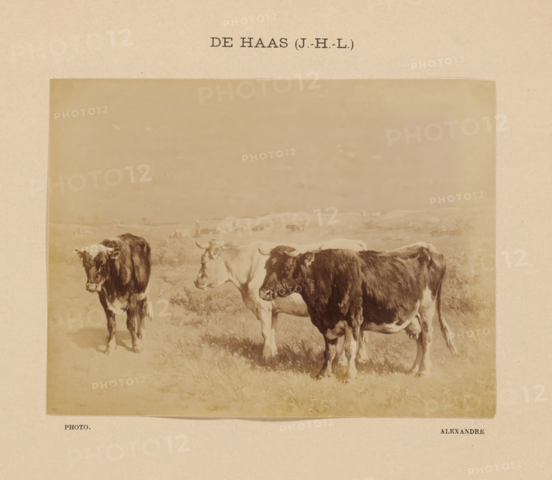 De Haas (J.-H.-L.), Photo reproduction of Bestiaux au pâturage by Johannes Hubertus Leonardus de Haas, photograph, reproduction, page, photographer: Alexandre, after painting by Johannes Hubertus Leonardus de Haas, c. 1888 - in or before 1893, paper, albumen print, albumendruk, height 108 mm x width 143 mm, cow, painting, drawing and the graphic arts, A sepia-toned image mounted on beige paper showing three cows standing on grassy ground near the lower edge, with two cows more prominently visible in the foreground and another partially visible behind them, a wide pale sky above and faint distant shapes on the horizon, the mounted photograph centered on the page with margins of beige paper surrounding it.