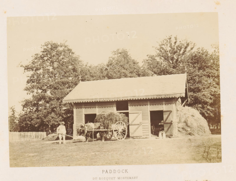 Paddock du Bosquet Mortemart, Paddock on the Route du Bosquet Mortemart in the Bois de Vincennes, Bois de Vincennes, photograph, page, photographer: Ildefonse Rousset, c. 1861 - in or before 1866, Paris, paper, albumen print, height 123 mm x width 175 mm, horse, stall, stable, A light-colored wooden barn with a pitched roof and decorative trim stands in front of tall leafy trees, with open doors revealing dark interior spaces and stacked hay beside and inside; a horse hitched to a wooden cart loaded with hay is positioned near the barn while a person wearing light clothing and a hat stands beside the horse holding a long implement, and a fenced area is visible to the left.