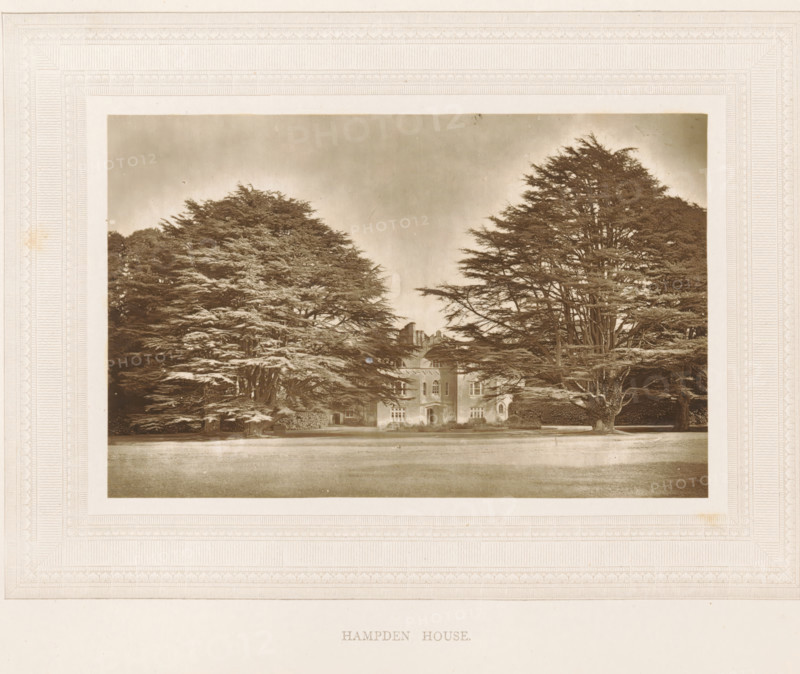 View of Hampden House, Hampden House, page, photomechanical print, photographer: Stephen Thompson, Great and Little Hampden, c. 1866 - in or before 1876, printmaker, Buckinghamshire, paper, Woodburytype, height 102 mm x width 160 mm, country-house, A sepia-toned photograph mounted on a decorative mat shows a large stately building partially obscured by tall, dense trees with spreading branches on either side, a broad lawn in the foreground, and a cloudy sky above.
