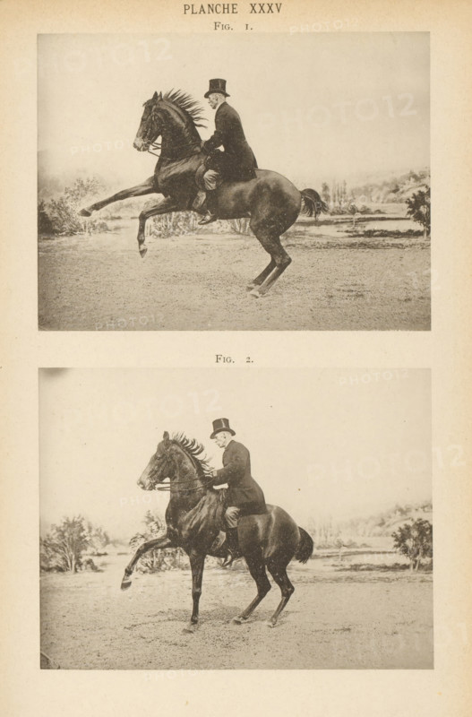 Two men on horses in motion, page, photomechanical print, number: 'Planche XXXV Fig. 1. Fig. 2.', maker: Jean Delton, c. 1882 - in or before 1892, paper, collotype, photoprint, height 242 mm x width 160 mm, Prints opposite page 382., riding a horse, ass, or mule, rider, horseman, head-gear: top hat, A vertical page shows two sepia-toned photographs of a man riding a rearing horse in an outdoor setting, framed within light margins; in each photograph the rider wears a dark coat and a top hat and sits upright on the horse while holding reins, and the horse has a dark coat with a flowing mane and is captured with front legs raised and hind legs grounded; a low landscape with scattered trees and open ground is visible in the background of both images, and the page edges show a slightly aged, textured paper.