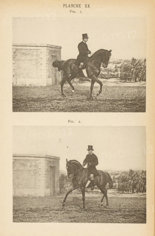 Two men on horses, page, photomechanical print, number: 'Planche XX Fig. 1. Fig. 2.', maker: Jean Delton, c. 1882 - in or before 1892, paper, collotype, photoprint, height 242 mm x width 159 mm, Prints opposite page 170., riding a horse, ass, or mule, rider, horseman, head-gear: top hat, A sepia-toned image showing two nearly identical framed photographs stacked vertically on an aged page, each depicting a man in formal riding attire with a top hat seated on a dark horse captured mid-stride on a grassy area; a stone building with a rectangular opening appears at the left edge of each photograph while foliage and distant landscape appear on the right, and the surrounding paper shows slight discoloration and margins.