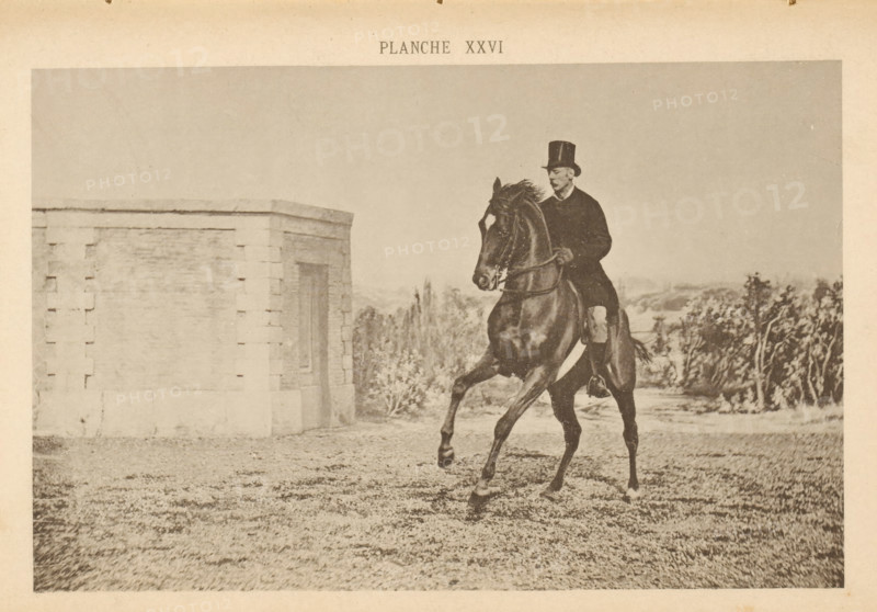 Man on a horse galloping, page, photomechanical print, number: 'Planche XXVI', maker: Jean Delton, c. 1882 - in or before 1892, paper, collotype, photoprint, height 125 mm x width 194 mm, riding a horse, ass, or mule, rider, horseman, head-gear: top hat, A sepia-toned photograph shows a man wearing a dark coat and a tall hat riding a dark horse that is captured mid-stride with one front leg raised and the other extended. The rider sits upright holding the reins, and the horse has a bridle and visible muscles along its neck and body. To the left there is a light-colored stone structure with a rectangular recessed panel and block-like corner detailing. In the background there are scattered trees and low vegetation beneath a pale sky, and the foreground shows a textured grassy or gravel ground.