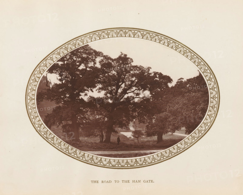View of a road and trees in Richmond Park, The road to the Ham Gate, page, photomechanical print, Richmond Park, c. 1879 - c. 1889, London, paper, Woodburytype, height 101 mm x width 147 mm, trees, public gardens, park, A circular sepia photograph framed by a decorative patterned border shows a landscape with large leafy trees whose branches and foliage create a dense canopy, a grassy foreground with a winding path and a small figure standing near the base of one tree, and a lighter area in the middle distance that suggests an open space beyond the trees.