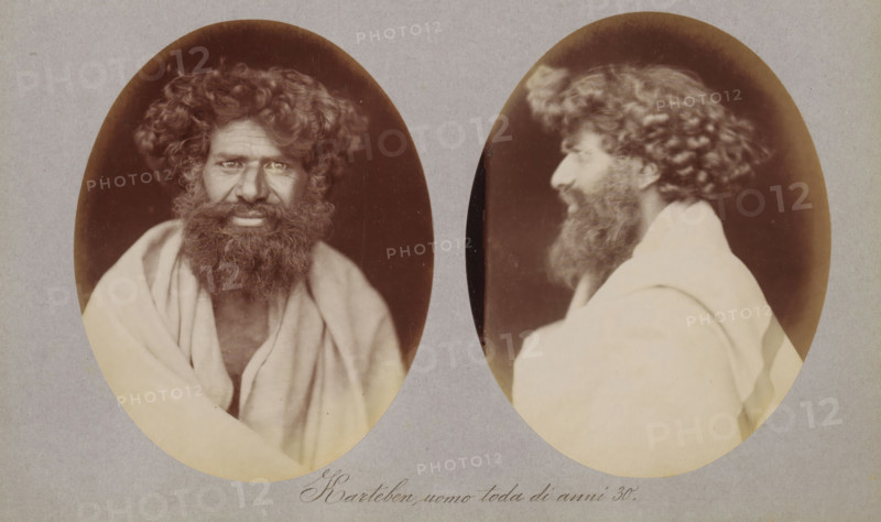 Karteben, uomo toda di anni 30, Two portraits of Karteben of the Toda tribe, photograph, page, photographer: Paolo Mantegazza, India, c. 1881 - in or before 1886, paper, albumen print, height 151 mm x width 241 mm, adult man (side view, profile), Two oval sepia photographs mounted on a gray background showing the same bearded man from different angles; the left oval is a frontal view of a man with dark curly hair and a thick beard wearing a light draped cloth over his shoulders, his eyes visible and his face framed by hair and beard; the right oval is a profile view of the same man turned to the side, showing his curly hair, beard, and the draped cloth from a different angle.
