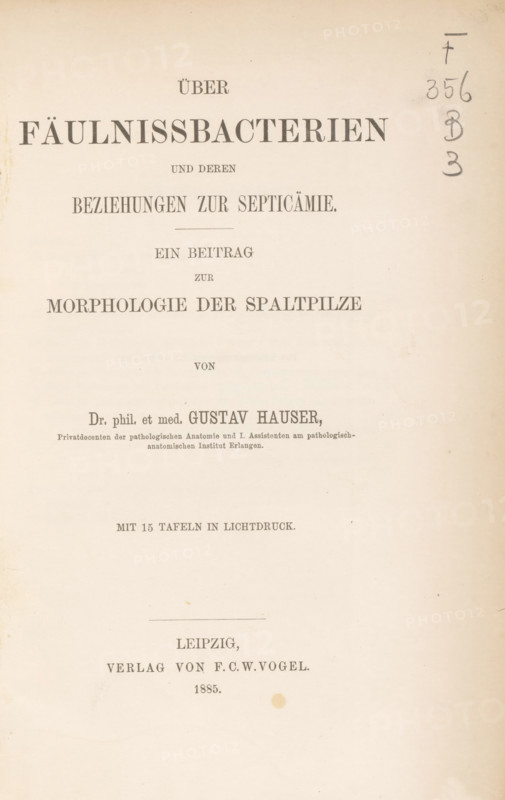 Other Fäulnissbacterien und deren Beziehungen zur Septicämie and Beitrag zur Morphologie der Spaltpilze, book, writer (clerical worker): Gustav Hauser, publisher: Friedrich Christian Wilhelm Vogel, Leipzig, 1885, writer (clerical worker), Saxony, paper, collotype, photoprint, height 257 mm x width 175 mm x thickness 12 mm, A cream-colored page with printed large dark headings centered near the top and smaller centered lines of printed text descending toward the middle and lower areas, a vertical faint pencil or charcoal scribble with rounded marks near the right margin, a thin horizontal line and a short printed horizontal ornament in the mid-lower area, small irregular spots and light stains scattered across the page, and a narrow darker left edge where the page appears slightly shadowed.