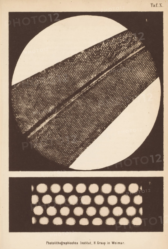 Two microscopic enlargements of an algae, page, photomechanical print, number: 'Taf. X.', cliché maker: H. Graap, Weimar, c. 1867 - in or before 1877, photographer, Thuringia, paper, photolithography, height 223 mm x width 145 mm, Prints opposite page 370., algae, seaweed, microscope, A square bordered frame contains a large circle intersected by a wide diagonal textured band, with the band showing a dotted, grainy pattern and a central lighter seam; parts of the circle not covered by the band appear as plain light areas contrasting with the dark textured sections, and below the circle a rectangular panel holds a grid of evenly spaced circular dots set against a dark background.