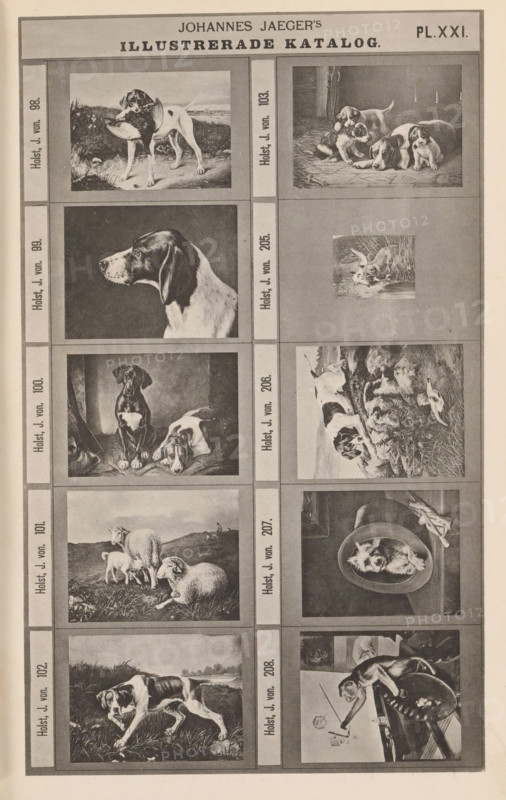 Photo reproduction of ten paintings of animals, Johannes Jaeger's Illustrerade Catalog, reproduction, page, photomechanical print, number: 'PL. XXI.', photographer: Johannes Jaeger, Stockholm, cliché maker: anonymous, after painting by Johan von Holst, c. 1872 - c. 1882, Johannes Jaeger, Johan von Holst, photographer, cliché maker, after painting by, paper, collotype, photoprint, height 180 mm x width 109 mm, picture, painting, dog, sheep, monkeys, apes, A vertical page showing a grid of framed black and white illustrations, each depicting animals and scenes; visible are multiple rectangles arranged in columns and rows separated by narrow borders, with a wide header area at the top; the illustrations include dogs in various poses such as a dog carrying a bird in its mouth in a grassy outdoor setting, a group of puppies lying together on a textured surface, a detailed profile of a dog's head against a dark background, a small square image of a dog in reeds near water, two dogs indoors w...