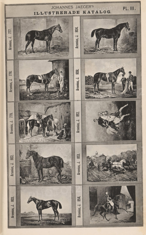 Photo reproduction of ten paintings of horses, Johannes Jaeger's Illustrerade Catalog, reproduction, page, photomechanical print, number: 'PL. III.', photographer: Johannes Jaeger, Stockholm, cliché maker: anonymous, after painting by John Arsenius, c. 1872 - c. 1882, Johannes Jaeger, John Arsenius, photographer, cliché maker, after painting by, paper, collotype, photoprint, height 181 mm x width 109 mm, picture, painting, horse, A vertical page showing a grid of framed black-and-white illustrations, each depicting horses in various poses and scenes; the top has a wide header area, and the grid contains two narrow columns of rectangular images separated by vertical borders, with each framed illustration showing horses alone, horses with people, stables, riding scenes, and a horse-drawn carriage, rendered in a realistic, shaded engraving style.