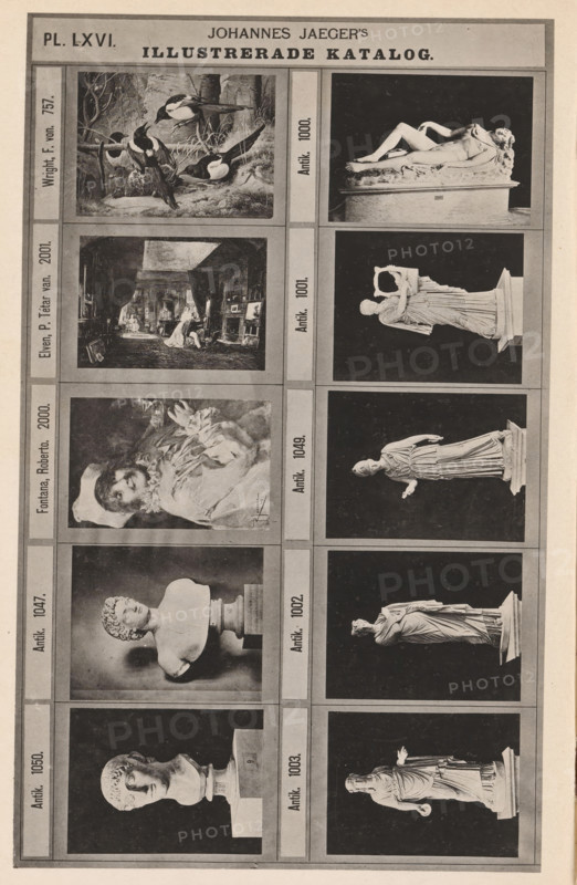 Photo reproduction of seven antique sculptures and three paintings, Johannes Jaeger's Illustrerade Catalog, reproduction, page, photomechanical print, number: 'PL. LXVI.', photographer: Johannes Jaeger, Stockholm, cliché maker: anonymous, after painting by Ferdinand von Wright, c. 1872 - c. 1882, Johannes Jaeger, Ferdinand von Wright, photographer, cliché maker, after painting by, paper, collotype, photoprint, height 180 mm x width 112 mm, sculpture, picture, painting, A vertically oriented printed page divided into a grid of rectangular panels showing grayscale photographic images and one painted scene; the left column contains images of a group of birds perched on branches in a natural setting, an interior room with furniture and people, a portrait of a woman wearing ruffled clothing and a hat, and busts of classical-style figures, while the right column displays reclining and standing marble statues on pedestals photographed against a dark background; thin borders separate the panel...