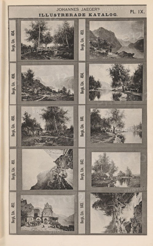 Photo reproduction of ten paintings of landscapes with water and mountains, Johannes Jaeger's Illustrerade Katalog, reproduction, page, photomechanical print, number: 'PL. IX.', photographer: Johannes Jaeger, Stockholm, clichémaker: anonymous, after painting by Edward Bergh, c. 1872 - c. 1882, Johannes Jaeger, Edward Bergh, photographer, clichémaker, after painting by, paper, collotype, photogravure, height 181 mm x width 109 mm, picture, painting, landscapes, A vertical page with a grid of rectangular framed landscape images arranged in two columns and several rows, each frame containing a monochrome rural or mountainous scene featuring trees, water, rocks, houses, paths, and small figures; narrow vertical panels separate the columns and the rows, and a wide header band runs across the top of the page.