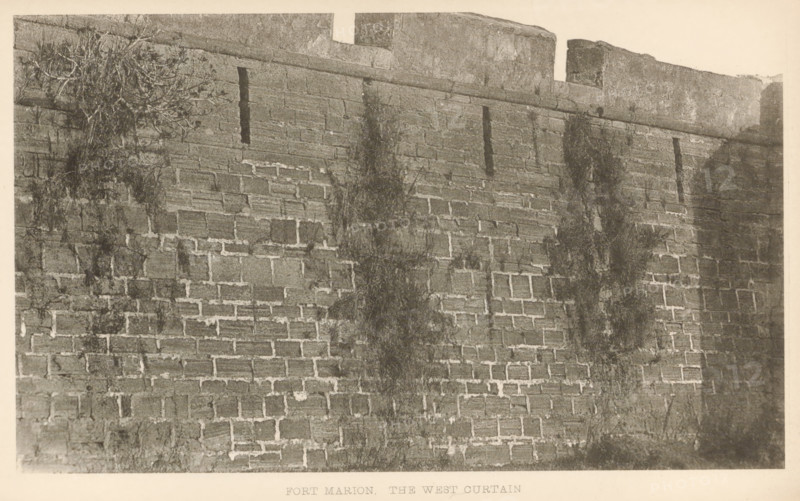 Fort Marion, the west curtain, page, photomechanical print, photographer: WA Cox, Saint Augustine, cliché maker: anonymous, c. 1883 - in or before 1888, North America, paper, collotype, photoprint, height 104 mm x width 158 mm, fortress, Castillo de San Marcos, A grayscale photograph of a tall stone wall with visible rectangular masonry blocks and mortar lines, showing vertical narrow slits near the top and a horizontal ledge running along the wall beneath the parapet; sections of the wall have darker vertical stains and patches of climbing vegetation and roots, with a cluster of tangled branches and foliage hanging over the left side, and the top of the wall features rough stone battlements against a pale sky.