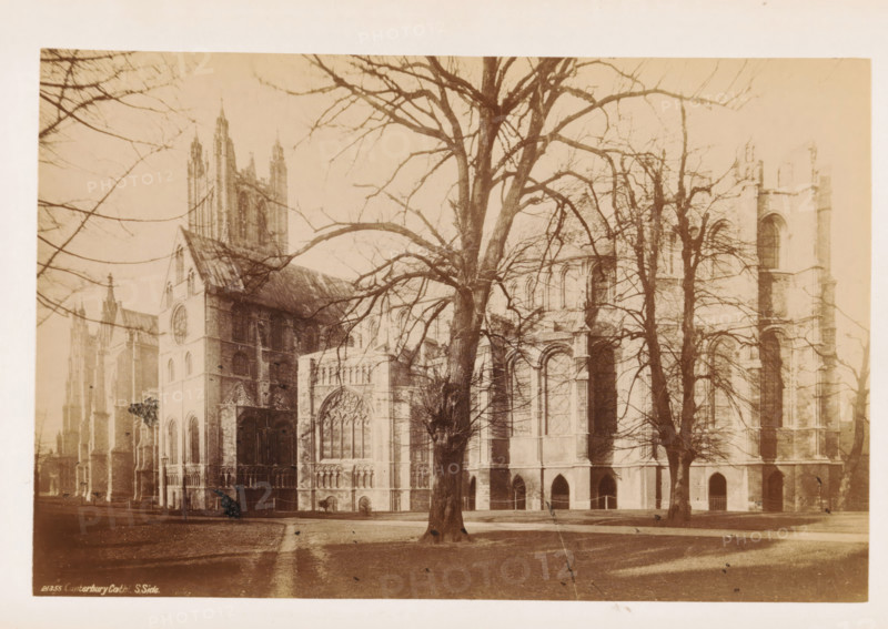 View of the south side of Canterbury Cathedral, The Cathedral, South Side, photograph, page, number: '21355 Canterbury Cath. S.Side', Canterbury Cathedral, c. 1882 - in or before 1892, photographer, Kent, Canterbury, paper, albumen print, height 115 mm x width 175 mm, church (exterior), A sepia-toned photograph of a large Gothic cathedral viewed from an open lawn, with tall stone walls, arched windows, and ornate doorways partially obscured by several leafless trees with sprawling branches; the foreground shows a grassy area with faint walkways and a few small figures near the building, while the cathedral rises with towers and buttresses across the middle and background, and bare branches frame the upper portion of the image.