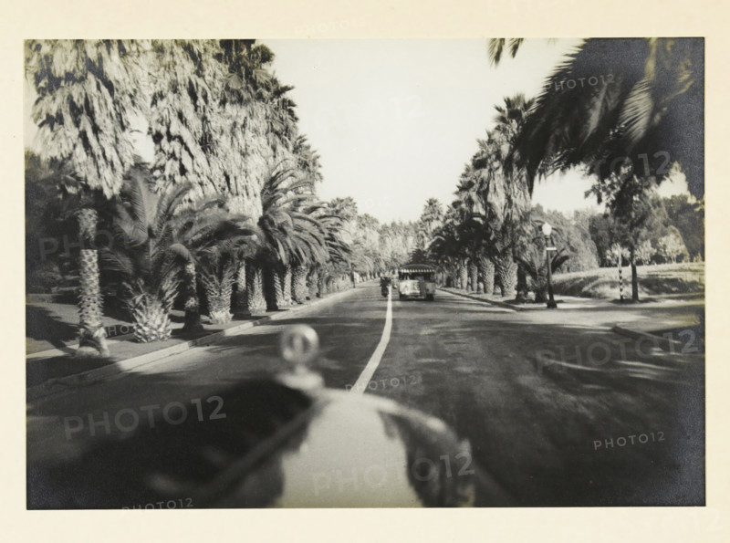 Beverly Hills, Hollywood, California, United States: view from a moving car, Beverij Hills Hollijwood, photograph, title: 'BEVERIJ sic HILLS HOLLIJWOOD', photographer: attributed to Wouter Cool, United States of America, 1936, North America, Attributed to, pasteboard, paper, gelatin silver print, developing gelatin silver print, height 150 mm x width 217 mm, height 315 mm x width 285 mm, public road, trees: palm-tree, A black and white photograph showing a straight paved road lined with palm trees on both sides, with a vehicle visible near the center of the road and another small vehicle further ahead, a lamppost on the right sidewalk, dense palm fronds creating shaded areas along the road, a blurred hood ornament and part of a car visible in the foreground, and a bright sky above.