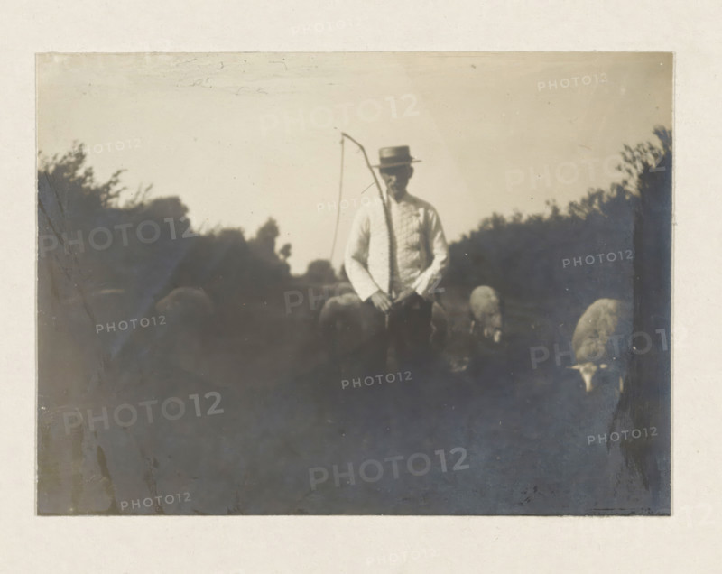 Man in white coat, photograph, possibly a coachman or an angler. Part of the loose-leaf photo album with 39 photos from a trip through the Netherlands, ca. 1907-1910., Netherlands, c. 1907 - c. 1910, photographer, paper, pasteboard, gelatin silver print, developing gelatin silver print, height 80 mm x width 110 mm, height 180 mm x width 235 mm, A faded monochrome photograph shows a person standing in the center wearing a light-colored long-sleeved shirt and a straw hat, holding a long curved stick or staff upright, with indistinct darker shapes of foliage framing the upper sides and several blurred rounded shapes at the lower right that resemble animals grazing; the image has a pale sky background and an overall soft, slightly blurred and aged appearance.