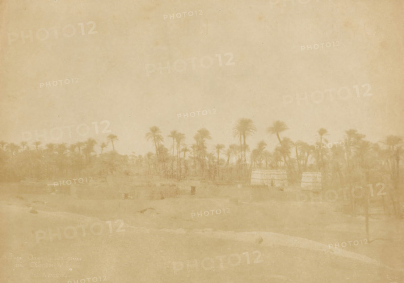 Landscape in Northern Egypt, Haute Egypt, photograph, inscription: '1082, 7', watermark: 'from paper manufacturer Canson Frères', inscription: 'Haute Egypt', inscription: 'Village Arabe à Katjoumi ?, près ... de Égypte, E. Bennecke', photographer: attributed to Ernest Benecke, Egypt, 1852, North Africa, Attributed to, paper, salted paper print, height 146 mm x width 211 mm, trees: palm-tree, A faded sepia-toned scene showing a low horizon of tall, slender palm trees with fronds, their silhouettes rising above a hazy foreground; closer to the viewer there are indistinct rectangular structures and blurred ground features, and two larger, faintly striped rectangular forms stand among the trees on the right side of the image.