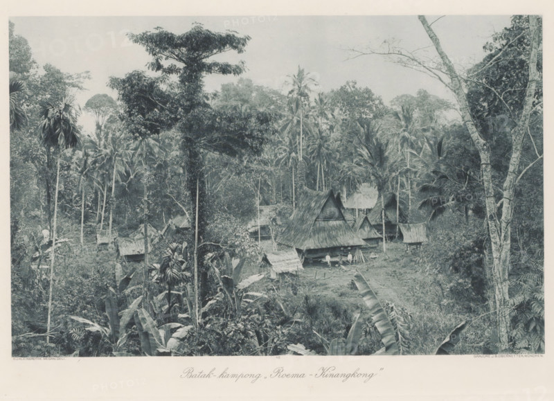 View of Batak village 'Roema-Kinangkong' on Sumatra, Batak - kampong „Roema - Kinangkong', photomechanical print, Part of Album with heliogravures of Sumatra's east coast., number: '48', photographer: Carl J. Kleingrothe, Sumatra, clichémaker: Johann Baptist Obernetter, Munich, in or before 1898, Bavaria, paper, photoaquatint, heliogravure, height 184 mm x width 288 mm, village, A densely forested scene with tall slender palm trees and broad-leaf plants surrounding a small cluster of thatched-roof huts, one hut with a steep peaked roof near the center and several smaller simple structures nearby, a few figures visible standing or sitting by the huts, thick undergrowth and tree trunks filling the foreground and background, large leafy fronds and vines intermingling with trunks and branches, and an open sky above the treetops.
