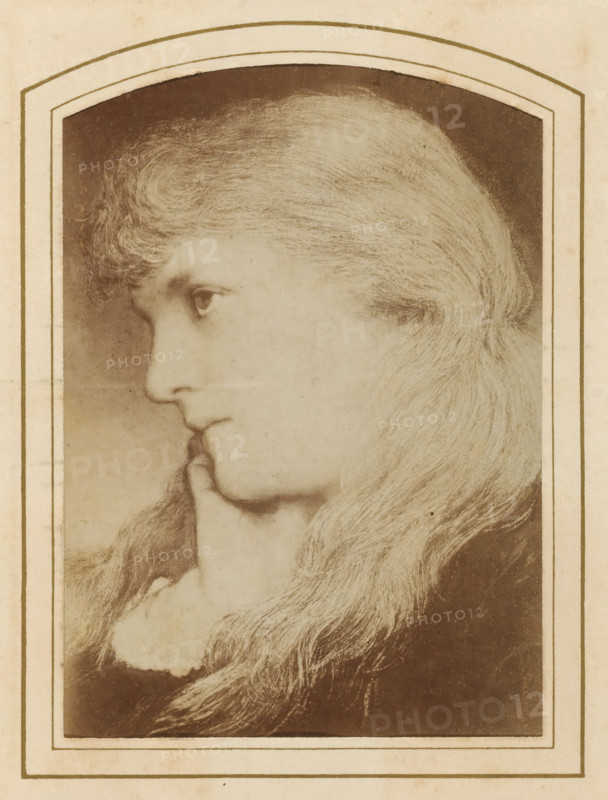 Photo reproduction of a painted portrait of a young woman, album page, photograph, cabinet photograph, reproduction, This photo is part of an album., number: '103, 154, 30', after painting by anonymous, 1850 - 1900, photographer, paper, pasteboard, albumen print, height 137 mm x width 97 mm, historical persons - BB - woman, adolescent, young woman, maiden, A sepia-toned close-up portrait of a young person shown in profile, framed by an arched rectangular border. The subject has long, wavy hair that flows down past the shoulder, a smooth forehead, and a softly defined nose and lips. One eye is visible looking forward, and a hand rests gently under the chin with fingers touching the lower face. The image has a textured, slightly grainy quality with subtle variations in tone and a darker background behind the head.