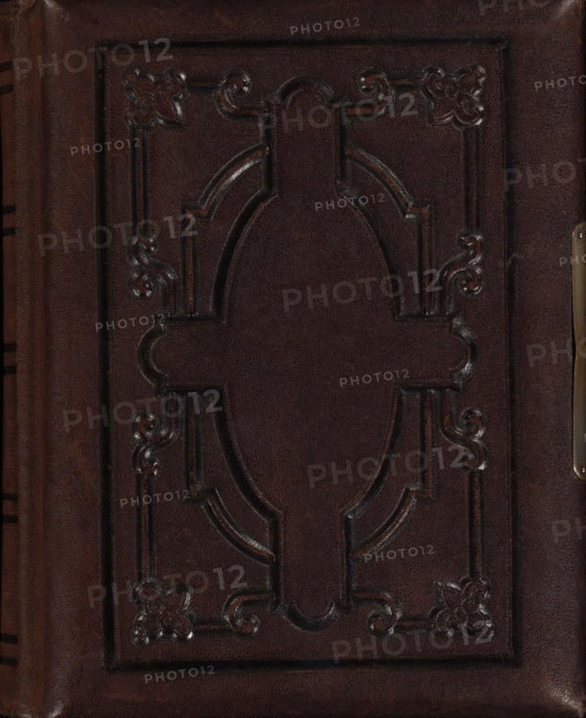 Family album with 60 photos (English), photograph album, slip-in album, Photo album with 36 pages containing a total of 60 photos, one of which is loose in the album. The album contains cartes-de-visite and cabinet photos, all portraits., 1888, photographer, paper, pasteboard, biological material, inorganic material, leather, metal, albumen print, daylight collodion silver print, gelatin silver print, color on edge, color lithography, photo album with brown leather cover with blind embossing on the front and back covers and a metal clasp, the album contains cardboard sheets with passe-partouts for cartes-de-visite and cabinet photos, on a number of pages a decoration has been applied around the passe-partouts, height 218 mm x width 180 mm x thickness 57 mm x width 361 mm, historical persons, adult woman, adult man, A close-up of a dark brown leather surface with an embossed decorative rectangular panel featuring a central oval surrounded by ornate scrollwork and corner floral motifs; t...