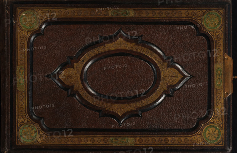 Photo album (empty), photograph album, slip-in album, Photo album with fifty pages with two passe-partouts framed with embossed edges for cartes-de-visite side by side on every page. An annotation is pasted on the first page of the album., annotation: '1918., Fête - Champêtre, Protection.', collector's mark: 'DIENST, VERSPREIDE, RIJKSKOLLEKTIES, A 914', 1860 - 1900, pasteboard, biological material, inorganic material, paper, leather, metal, color on edges, gold print, oblong cardboard slip-in album, covered with brown leather with an embossed oval surrounded by a frame, embossed decorations on the front cover printed in gold, incomplete metal clasp, endpapers of iridescent paper, cardboard pages with gold edges, height 155 mm x width 234 mm x thickness 42 mm x width 473 mm, A close view of a dark brown textured leather surface with an ornate raised central oval surrounded by a scalloped decorative frame inlaid with gold-toned tooling and subtle green accents, the design featuring flora...