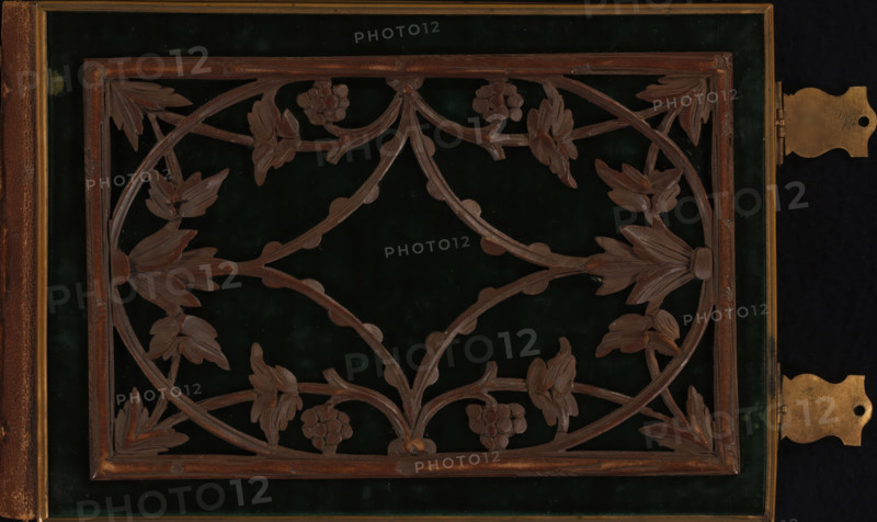 Photo album (empty), photograph album, slip-in album, Photo album with thirty pages with two passe-partouts framed with embossed edges for cartes-de-visite side by side on every page., collector's mark: 'DIENST, VERSPREIDE, RIJKSKOLLEKTIES, A 915', 1860 - 1900, plant material, textile materials, pasteboard, biological material, inorganic material, paper, leather, velvet (fabric weave), wood (plant material), metal, color on edges, slip-in album of cardboard, covered with green velvet on the boards and brown leather on the spine, woodcarving of leaf tendrils on front and back covers and embossed decoration on the spine, metal edges along the boards, two metal clasps, endpapers of iridescent paper, cardboard pages with gold edges, height 158 mm x width 234 mm x thickness 39 mm x width 452 mm, foliage, tendrils, branches, ornament, A rectangular wooden panel with an intricate carved vine and leaf pattern rests against a dark green velvet background, the carving featuring curved branches, ...