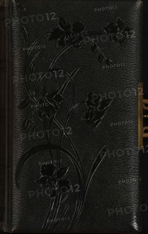 Photo album (empty), photograph album, slip-in album, Photo album with 28 pages with either a passe-partout framed with gold lines for a cabinet photo, or 2 passe-partouts framed with gold lines stacked on top of each other for cartes-de-visite. In total, the album has space for 8 cabinet photos and 40 cartes-de-visite., collector's mark: 'DIENST, VERSPREIDE, RIJKSKOLLEKTIES, A 973', 1860 - 1920, pasteboard, biological material, inorganic material, paper, leather, metal, decorated paper, color on edges, cardboard slip-in album, covered with dark green leather with embossed Art Nouveau floral decoration on the front cover, decorative border printed in gold along the inside of the boards, metal clasp, endpapers covered with ornamental paper, cardboard pages with gold edges, height 276 mm x width 172 mm x thickness 57 mm x width 338 mm, flowers, A close-up of a dark textured surface with an embossed floral design showing curved stems, elongated leaves, and several stylized flowers and bud...