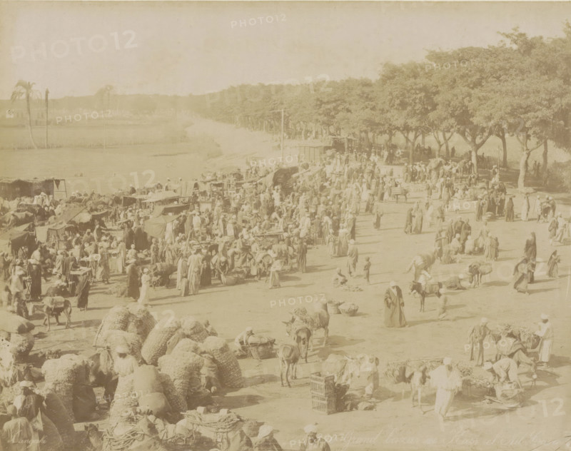 View of the market of Qasr an Nil in Cairo, Grand Bazaar, Kasr el Nil Caire, photograph, Part of Travel Album with 80 Photos of Egypt., negative number: '390', photographer: Zangaki, C. & G., Cairo (city), c. 1870 - c. 1890, Ottoman Empire, North Africa, pasteboard, paper, albumen print, height 220 mm x width 276 mm, market, A wide dusty outdoor scene with many people gathered along a tree-lined dirt road by a body of water, temporary stalls and awnings clustered together, bundles and large woven bales piled on the ground, several animals including donkeys and pack animals with loads, groups of people standing, walking, sitting, and interacting near the stalls, a line of trees casting shade along one side, open fields and a few tall slender palm trees in the distance, and scattered baskets, crates, and tables among the crowd.