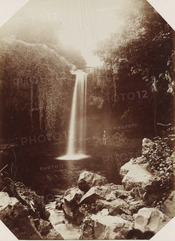 Madeira, Boy at the waterfall of S. Vicente on Madeira, photograph, Part of Album with 191 photos of a trip to and through South Africa., inscription: 'S. Vicente waterfall', c. 1885 - c. 1910, photographer, paper, albumen print, height 234 mm x width 174 mm, waterfall, A tall narrow waterfall drops from a ledge into a dark pool below, surrounded by steep rock faces and dense vegetation; hanging vines and leafy plants cascade down the cliff edges, and trees and foliage frame the scene. Rocks and boulders of various sizes occupy the foreground around a small stream that flows toward the pool, with smooth water surfaces reflecting light. Near the base of the cliff, a person stands on the ground beside the pool, partially illuminated and looking toward the waterfall. The overall image has a soft, sepia-toned appearance and areas of bright light near the top where the waterfall begins.