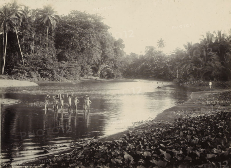 Children bathing in a body of water in the Dutch East Indies, photograph, Part of a travel album with forty photos of the Dutch East Indies., photographer: Onnes Kurkdjian, Dutch East Indies, The, 1912, paper, daylight gelatin silver print, height 175 mm x width 237 mm, wading, paddling, A wide river scene bordered by dense tropical vegetation with tall palm trees and leafy undergrowth, a sandy shoreline curving along the water, a group of children standing waist-deep in the river with some raising their arms, a person standing alone on the far right near the water's edge wearing light clothing, reflections of trees and figures visible on the water surface, abundant low plants and scattered branches on the foreground bank.