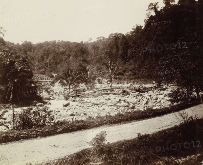 Dried-up riverbed with railway bridge over a brook in the Dutch East Indies, album page, photograph, Part of Album with photos of railways in the Dutch East Indies and postcards., Dutch East Indies, The, c. 1880 - c. 1910, photographer, pasteboard, paper, daylight paper print, height 230 mm x width 280 mm, landscape with bridge, viaduct or aqueduct, railway, train, A wide sepia-toned landscape showing a rocky riverbed strewn with boulders and fallen tree trunks, bordered by dense forested hills with tall trees and thick foliage; a metal truss bridge spans the river at one side, and several palm trees rise near the riverbank; a dirt road with a low stone wall runs across the foreground, and scattered shrubs and grasses grow along the road and river edges.