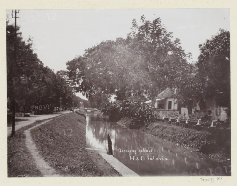 View of a house and the water of Gunung Sahari in Batavia, Goenoeng sahari., album page, photograph, Part of Album with photos of Batavia and of the Ursuline sisters., inscription: 'Goenoen sahari', photographer: Otto Hisgen, Batavia, c. 1890 - c. 1910, Java, West-Java, paper, pasteboard, daylight collodion silver print, height 165 mm x width 221 mm, dikes, levee, canals, waters (in city), A narrow waterway runs through the scene with still reflective water bordered by grassy banks and a dirt path on one side, tall leafy trees line both sides creating a canopy over parts of the water, a small bridge is visible in the distance, a modest building with a tiled roof and windows sits near the water under the trees, a row of short posts with cone-shaped tops lines the near bank in front of the building, dense foliage and plants grow along the water’s edge, a lamppost and scattered street elements appear along the path among the trees.
