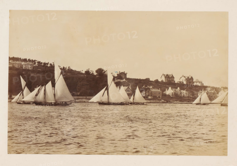 Various sailing ships on the water with buildings in the background, album page, photograph, This photo is part of an album., check stamp: 'Adamson, Rothesay.H.B', photographer: James Adamson, c. 1880 - c. 1900, paper, albumen print, height 191 mm x width 288 mm, sailing-ship, sailing-boat, landscapes with waters, waterscapes, seascapes (in the temperate zone), civic architecture, edifices, dwellings, A wide waterscape showing multiple sailing boats with large white triangular sails moving across rippled water in the foreground, a shoreline with houses and trees on a low hill behind the boats, and a pale sky filling the upper area of the scene.