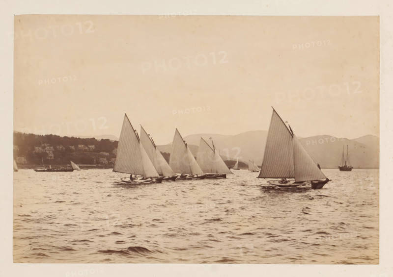 Various sailing ships on the water with a hilly landscape in the background, album page, photograph, This photo is part of an album., photographer: attributed to James Adamson, c. 1880 - c. 1900, Attributed to, paper, albumen print, height 189 mm x width 279 mm, sailing-ship, sailing-boat, landscapes with waters, waterscapes, seascapes (in the temperate zone), (high) hill, A wide view of a body of water with several sailboats with tall, triangular sails angled similarly, their hulls close to the water and small crews visible aboard; a larger multi-masted vessel sits farther out near the horizon to the right. A shoreline with clustered houses and tree-covered hills runs along the left and center background, and low, rounded mountains are visible behind the boats. The sky is pale and largely empty, and the water in the foreground shows gentle waves and ripples.