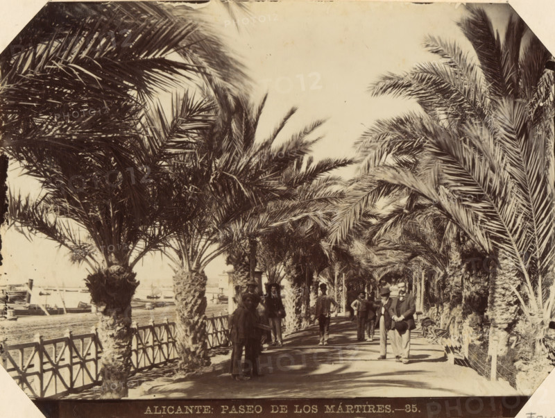 Alicante Paseo de los Mártires, Street view of Paseo de los Mártires de la Libertad in Alicante, album page, photograph, This photo is part of an album., number: '35.', annotation: 'Alicante - Paseo de los Martires', c. 1885 - in or before 1892-04-03, photographer, paper, albumen print, height 129 mm x width 173 mm, street, trees: palm-tree, Alicante (city), A tree-lined promenade with tall palm trees forming a canopy over a shaded walkway, a wooden fence along one side separating the path from a waterfront where boats are moored, several people standing and walking along the path wearing period clothing and hats, textured tree trunks and dense fronds creating patterned shadows on the ground, distant structures and masts visible beyond the fence, and a bright sky above.