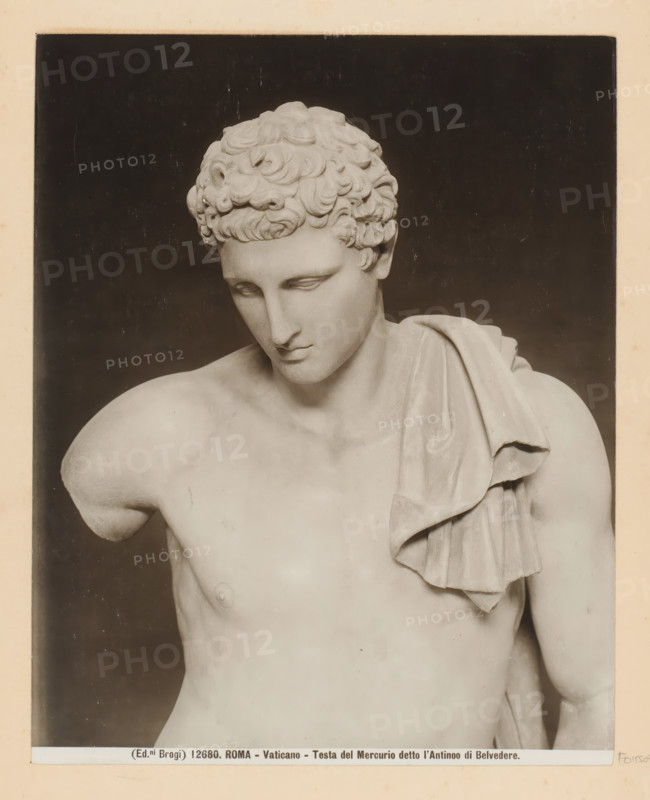 Head of the Hermes of Belvedere in the Vatican Museums in Vatican City, Rome - Vaticano - Testa del Mercurio detto l'Antinoo di Belvedere, photograph, Part of Photo album with photographs of landmarks and artworks in Italy., number: '12680', photographer: Edizioni Brogi, Vatican Museums, c. 1875 - in or before 1907, Edizioni Brogi, photographer, Vatican City, paper, gelatin silver print, height 250 mm x width 199 mm, sculpture, (story of) Mercury (Hermes), A photograph of a marble torso and head of a classical male statue against a dark background, showing curly hair, downcast eyes, a straight nose, and a closed mouth; the statue's shoulders and upper chest are visible, one arm missing at the shoulder, and a draped cloth rests over one shoulder and across the chest with visible folds and soft shadows.
