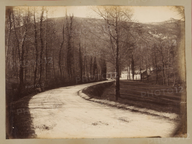 Road between trees with mountains in the background in the vicinity of Bagnères-de-Bigorre, album page, photograph, This photo is part of an album., annotation: 'Bagnères-de-Bigorre, ...', 1880 - 1910, photographer, paper, albumen print, height 176 mm x width 235 mm, public road, trees, mountains, Bagnères-de-Bigorre, A winding dirt road curves from the foreground into the midground, bordered on the left by a dense stand of tall leafless trees and on the right by evenly spaced bare trees casting long shadows over a grassy slope, with a light-colored two-story house partially visible among the trees on the right; the background shows forested hills and a distant peaked mountain under a pale sky.