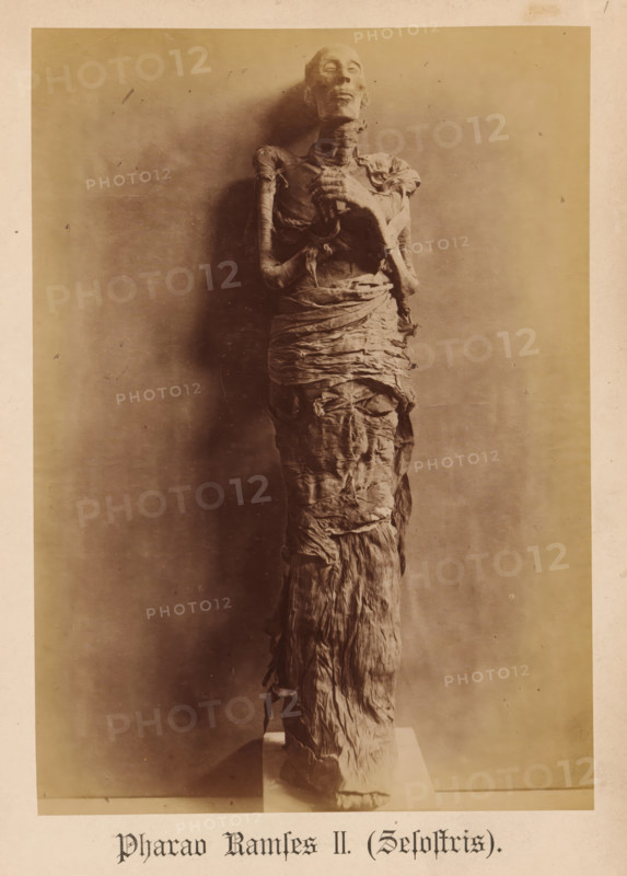 Mummy of Pharaoh Ramses II, Pharaoh Ramses II (Sesostris), photograph, page, inscription: 'Verlag von S. Mayer in Esslingen', publisher: Samuel M. Mayer, c. 1881 - c. 1886, photographer, paper, albumen print, height 234 mm x width 165 mm, Person, Ramses II (Pharaoh of Egypt), king, mummy, North Africa, Egypt, A tall wrapped figure standing upright on a small pedestal, with a desiccated face and exposed skeletal arms crossed over the chest, layers of aged, tattered linen tightly wound around the torso and lower body, the wrappings showing frayed edges and folds, the head tilted slightly back with hollowed eye sockets and a thin, elongated neck, a plain neutral background with soft shadows cast to one side, the image framed by a light border.