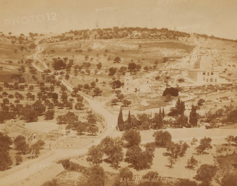 Mont des Oliviers, View of the Mount of Olives in Jerusalem, photograph, number: '292', photographer: Félix Bonfils, Jerusalem, 1867 - 1900, pasteboard, paper, albumen print, height 237 mm x width 299 mm, (high) hill, Mount of Olives, A sepia-toned landscape showing rolling hills dotted with scattered trees and low vegetation, with winding dirt roads and stone walls traversing the terrain. On one hillside there is a complex of buildings including a multi-story structure with arched windows and a domed roof section, and nearby smaller stone buildings and ruins. Tall slender cypress trees and other clustered trees appear near a compound with arched openings and terraces. The foreground shows more irregular stone walls, paths, and scattered trees leading toward the middle ground where a tower-like ruin stands beside a track. In the distant ridge there are more trees and a few isolated structures silhouetted against the sky.