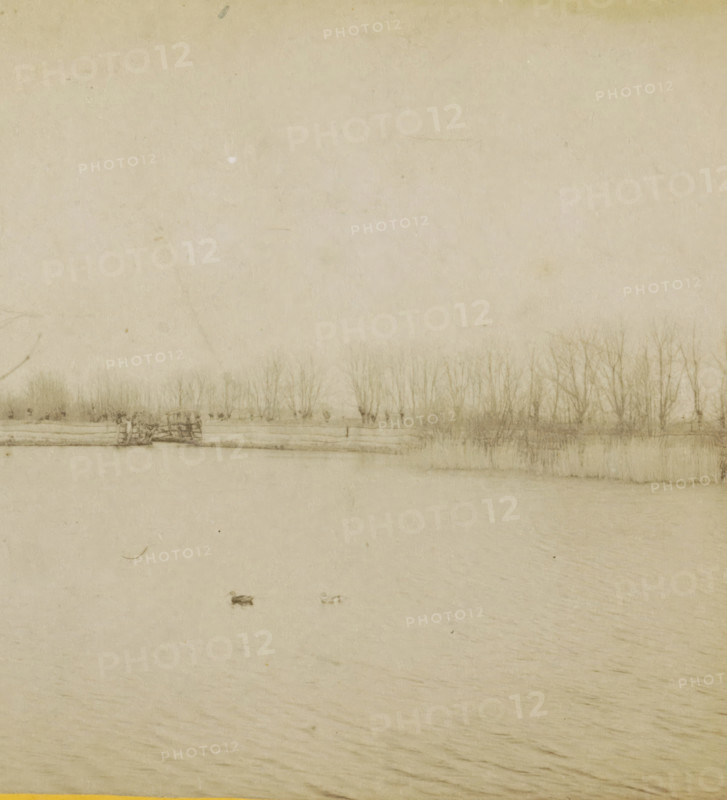 View of the Loosdrecht Lakes, Duck Decoy, Geographical Sculpture Gallery, collected by MJ Broekhuijsen, headmaster of a school in Amsterdam, Collection F, stereograph, number: '10.', inscription: 'near Loosdrecht. The central basin with one of the four decoys. Tame ducks, on the lake.', number: 'E.10.', Loosdrecht, publisher: Merkelbach & Co., Amsterdam, compiler (person in literature): Martien Johan Broekhuijsen, 1900 - 1902, photographer, compiler (person in literature), pasteboard, paper, albumen print, height 87 mm x width 176 mm, lake, Loosdrecht Lakes, A wide, pale scene with a horizontal strip of bare trees along the upper middle, a simple wooden fence in front of them, and a calm body of water filling the foreground with subtle ripples and two small waterfowl floating near the center.