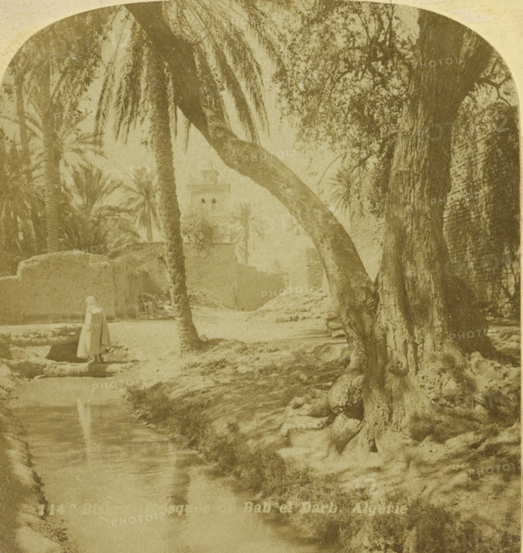 Palms and water near the Bab el Darb Mosque, Biskra, Biskra Mosquée de Bab el Darb. Algérie, stereograph, number: '114', number: '26050', photographer: JG Beers, publisher: Nederlandsche Stereoscoop Maatschappij, Amsterdam, 1868 - 1890, North Africa, pasteboard, paper, albumen print, albumendruk, height 88 mm x width 178 mm, trees: palm-tree, brook, shadow, A sepia-toned scene showing tall palm trees and large tree trunks along a muddy path and waterway, with leafy branches overhead and dense foliage in the background, rough stone or earthen walls partially visible, a small building with a tower seen faintly through the trees, a figure wearing a long garment standing near the water's edge, and reflections of trees in the water.