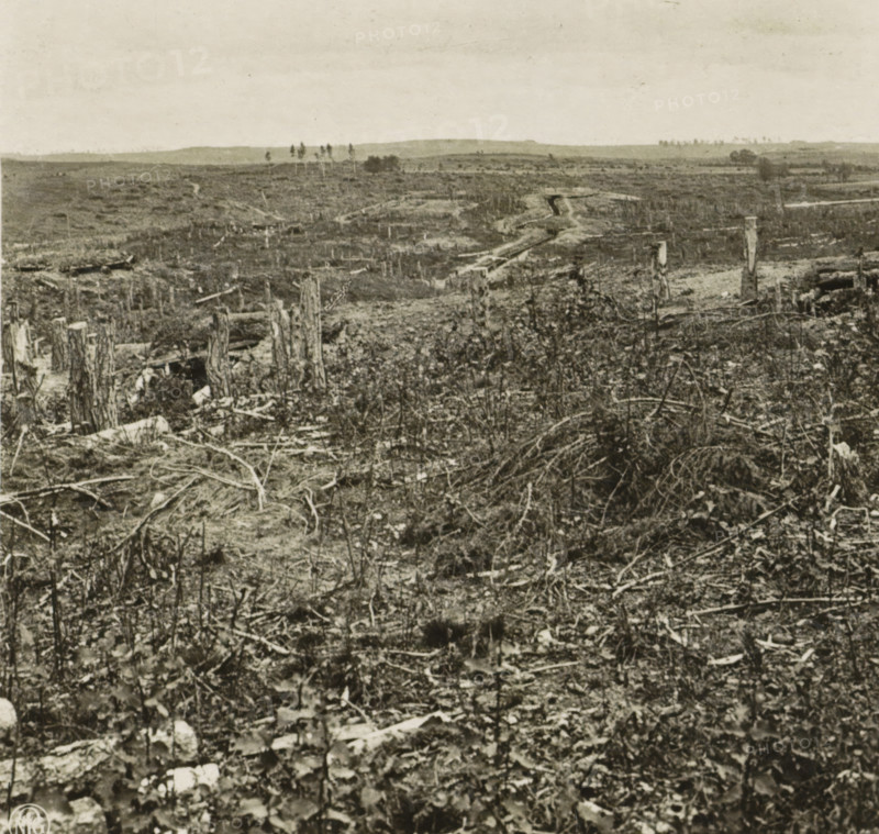 Krieg 1914-1916. Russer Schützengraben beo Grodno, Russian trenches in the First World War near Grodno, Belarus, stereograph, number: '296', stamp: 'PERRY, GALLERY', Grodno, publisher: Neue Photographische Gesellschaft, Berlin, 1916, photographer, paper, gelatin silver print, developing gelatin silver print, height 88 mm x width 180 mm, trenches, war, First World War, A wide open landscape with broken ground and scattered stumps and fallen branches stretching toward a distant horizon, a rough winding trench cutting through the midground, sparse low vegetation and tangled undergrowth in the foreground, isolated standing posts and a few small clusters of trees visible near the horizon under a pale sky.