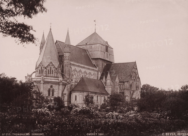 Trondhjems domkirke, View of the Nidaros cathedral in Trondheim, photomechanical print, number: 'No 255.', copyright notice: 'ENERET 1891.', Trondheim, publisher: F. Beyer, Bergen, cliché maker: anonymous, 1891, photographer, paper, collotype, light printing, height 152 mm x width 208 mm, church (exterior), Nidaros-domkerk, A large stone cathedral with multiple steep roofs and pointed spires rises behind a foreground of trees and flowering bushes, showing detailed arched windows, buttresses, and decorative masonry; a wooden belfry-like structure sits atop part of the building, and leafy branches frame the scene from the upper left while dense foliage borders the lower and right edges.