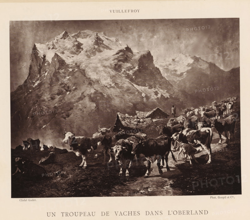Un troupeau de vaches dans l'Oberland, Photo reproduction of the painting 'Un troupeau de vaches dans l'Oberland' by Félix de Vuillefroy-Cassini, reproduction, page, photomechanical print, photographer: Anatole Louis Godet, cliché maker: Goupil & Cie., after painting by Félix de Vuillefroy-Cassini, c. 1879 - in or before 1884, paper, Woodburytype, height 185 mm x width 240 mm, cow, mountains, Bernese Oberland, A sepia-toned scene shows a rugged mountain landscape with steep, snow-dusted peaks filling the upper area and a textured sky above; in the lower area a herd of cows occupies a muddy foreground, some standing and some lying down, with varied coat patterns and horns visible, and a shepherd figure stands near a small rustic shelter with a sloped roof among the animals.