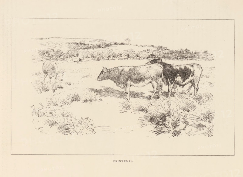 Portrait of Antoine Étex, Antoine Étex, page, photomechanical print, photographer: Ferdinand Mulnier, cliché maker: anonymous, c. 1879 - in or before 1884, paper, Woodburytype, height 120 mm x width 85 mm, Person, historical persons, A wide rectangular sketch shows a pale field with three cows standing in the foreground and one cow farther back near the left, rough grassy clumps scattered across the ground, and a distant tree line and low rolling hills sketched along the horizon.