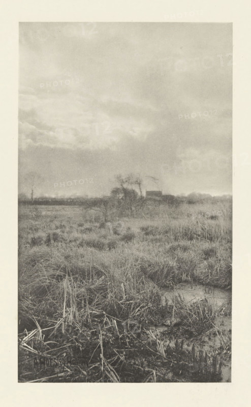 Heathland landscape, 'Gladden and Bent', photomechanical print, photographer: Alfred Horsley Hinton, cliché maker: Fillon & Heuse, printer (person): Charles Wittmann, Paris, c. 1891 - in or before 1896, printer (person), paper, photoaquatint, height 208 mm x width 123 mm, plain, A monochrome landscape showing a flat, marshy field with tall grasses and clumps of vegetation in the foreground and middle ground, with patches of standing water and flattened reeds; a line of low trees and a small building appear along the distant horizon, partly obscured by the vegetation; the sky above is expansive and filled with layered, textured clouds.