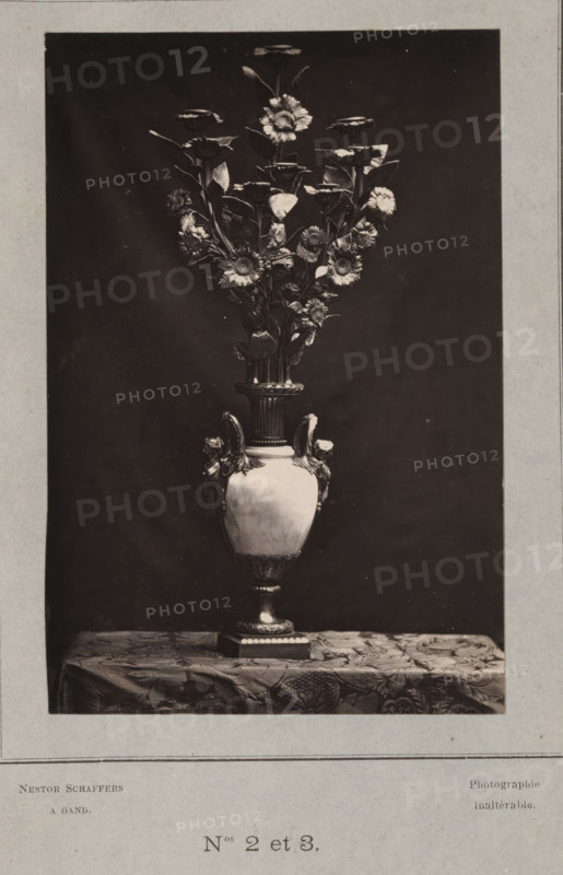 Decorated vase, photograph, page, inscription: 'Photographie, inaltérable.', number: 'PL. II., Nos 2 et 3.', photographer: Paul Joseph Nicolas Nestor Schaffers, c. 1873 - in or before 1878, paper, carbon print, height 136 mm x width 91 mm, vase, ornament, A tall ornate vase sits centered on a patterned tablecloth against a dark backdrop, filled with a symmetrical arrangement of long-stemmed flowers and leaves rising upward; the vase has decorative handles and a fluted neck leading to a rounded body and a detailed base, and the floral display shows multiple daisy-like blooms and clustered foliage with visible petals and leaves.