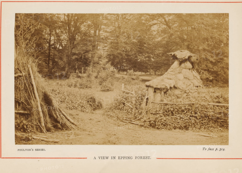 View in Epping Forest, A View in Epping Forest, photograph, page, photographer: Poulton, Epping Forest, c. 1870 - c. 1890, Essex (county), Greater London, paper, albumen print, height 88 mm x width 143 mm, forest, wood, A sepia-toned outdoor scene showing a wooded area with tall trees and dense foliage in the background, a dirt path leading inward flanked by low shrubs and groundcover, a thatched structure with a rounded, layered roof and rough wooden supports partially covered by climbing plants on the right, a rustic fence made of rough branches near the thatched structure, a leaning bundle of long branches and sticks propped on the left, scattered logs and twigs on the ground, and an off-white border surrounding the image.
