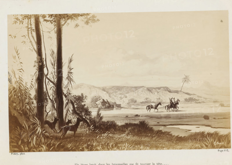 Photo reproduction of a painting of horsemen in a landscape in Australia, Un léger bruit dans les broussailles me fit tourner la tête..., photograph, reproduction, page, inscription: 'Page 112.', photographer: François Poncy, after painting by Louis-Étienne Duval, c. 1863 - in or before 1868, paper, albumen print, height 113 mm x width 182 mm, Photo on unnumbered page after page 212., riding a horse, ass, or mule, rider, horseman, low hill country, Australia, A sepia-toned landscape shows a foreground of tall trees with visible trunks and hanging vines, dense leafy undergrowth, and a pair of animals peering from the vegetation, while the middle ground opens to a flat shoreline with grasses and a shallow water area and three riders on horses moving along the shore, and the background features distant rolling hills, rocky formations, and a solitary palm tree under a pale sky.
